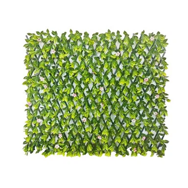 Augalų grotelės lauke