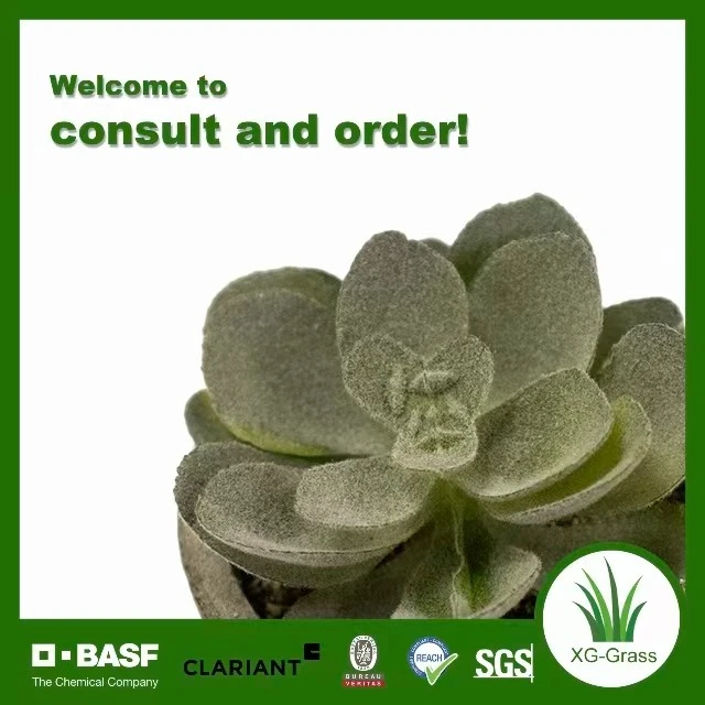 Lifelike Mini Succulent Art factory