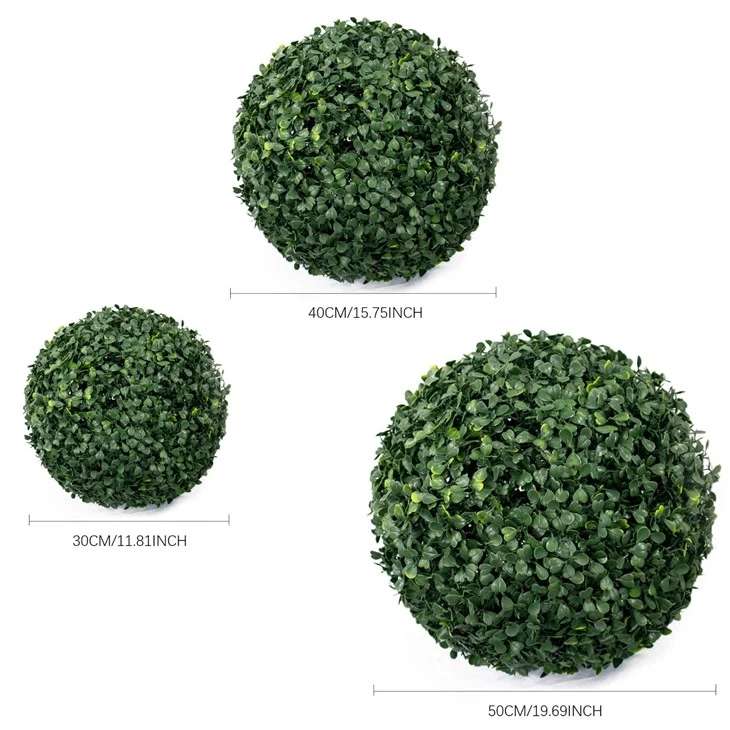 Boxwood Topiary Plant