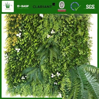 Žaliųjų sienų augalai