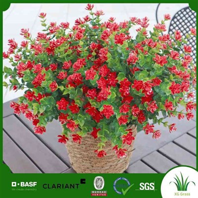 Netikri puansetijos augalai