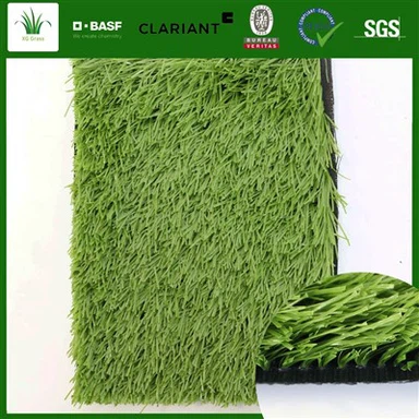 Futbolo kilimų žolė