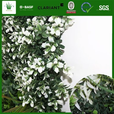 Sienos žolelių sodas viduje